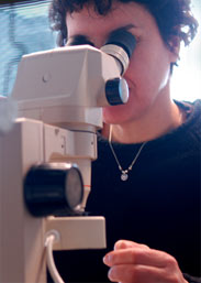 Nilli.microscope