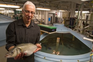 Dr. Zohar holding a seabass